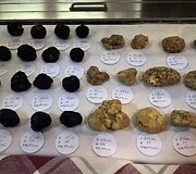 Trumų vitrina su kainomis