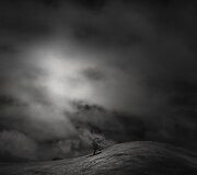 Nathan Wirth &bdquo;Medis ir kalva&ldquo; &ndash; Kalifornija