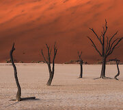 Stuart Bellamy &bdquo;Tylieji kareiviai&ldquo; &ndash; Namibija