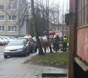 Įvykio vietoje
