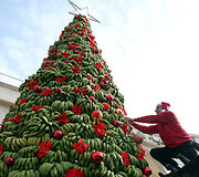 Kalėdinė eglė i&scaron; žalių bananų ir egzotinių gėlių Libano sostinėje Beirute