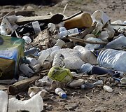 Libano pakrantėje tvarkomos audros i&scaron;mestos &scaron;iuk&scaron;lės