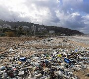 Libano pakrantėje tvarkomos audros i&scaron;mestos &scaron;iuk&scaron;lės