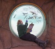 Kasmetinis gyvūnų sura&scaron;ymas Londono zoologijos sode