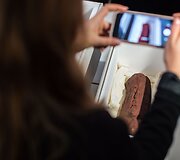 Vokietija grąžino Meksikai 3 000 metų senumo medines olmekų skulptūras