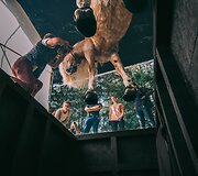 Fotografo Andriaus Burbos įamžinti arkliai i&scaron; apačios projekte &bdquo;Underlook&ldquo;