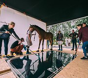 Fotografo Andriaus Burbos įamžinti arkliai i&scaron; apačios projekte &bdquo;Underlook&ldquo;