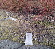 &Scaron;iuk&scaron;lės V. Krėvės prospekte Kaune