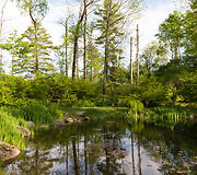 Parduodami ypatingos i&scaron;vaizdos namai, kurių amžius siekia net XVIII amžių