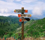 Madeira