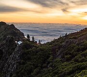 Madeira