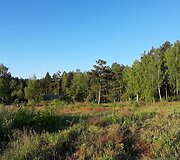 Pro būsimų namų langus, 360 laipsnių vaizdas į mi&scaron;kus