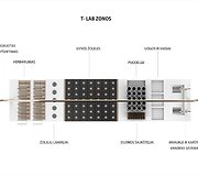 Agnė Vy&scaron;niauskaitė: T-LAB gyva lietuvi&scaron;kos arbatos laboratorija