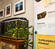 Vilniaus biblioteka į internetą perkėlė vaikų biblioterapijos konsultacijas