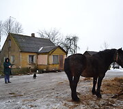 Vargo ie&scaron;koti Afrikoje nereikia: Lietuvos kaime &ndash; XIX amžiaus realijos