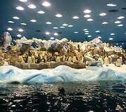 Akimirkos i&scaron; Tenerifės