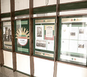 Onu&scaron;kio D.Malinausko gimnazija.