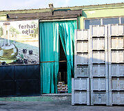 Alyvuogių fabrike