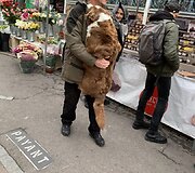 Markaičių &scaron;eimos kelionių po Sardiniją akimirkos