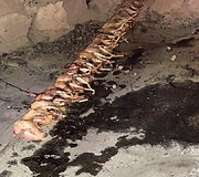Markaičių &scaron;eimos kelionių po Sardiniją akimirkos