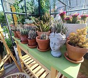 Lietuvių turistų laukiančios i&scaron;skirtinės Latvijos sodybos