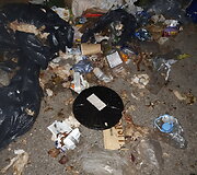 Atliekų konteineris prie Dvarčėnų kapinių