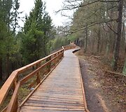 Atnaujintas Kadagių slėnio takas