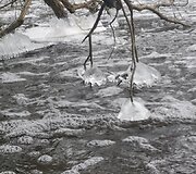 &Scaron;u&scaron;vės upėje gamta &bdquo;prikepė&ldquo; vandens &scaron;akočių ir blynų
