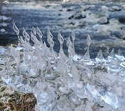 &Scaron;u&scaron;vės upėje gamta &bdquo;prikepė&ldquo; vandens &scaron;akočių ir blynų