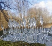 &Scaron;u&scaron;vės upėje gamta &bdquo;prikepė&ldquo; vandens &scaron;akočių ir blynų