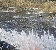 &Scaron;u&scaron;vės upėje gamta &bdquo;prikepė&ldquo; vandens &scaron;akočių ir blynų