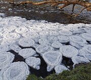 &Scaron;u&scaron;vės upėje gamta &bdquo;prikepė&ldquo; vandens &scaron;akočių ir blynų