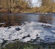 &Scaron;u&scaron;vės upėje gamta &bdquo;prikepė&ldquo; vandens &scaron;akočių ir blynų