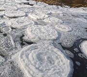 &Scaron;u&scaron;vės upėje gamta &bdquo;prikepė&ldquo; vandens &scaron;akočių ir blynų