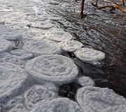&Scaron;u&scaron;vės upėje gamta &bdquo;prikepė&ldquo; vandens &scaron;akočių ir blynų
