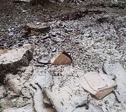 Kurortinėje Kačerginės teritorinėje kertami medžiai