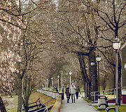 Bir&scaron;tonas