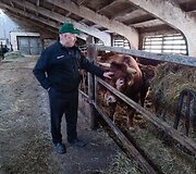 Vito Kučiausko mėsinių galvijų ūkis