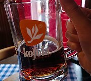 Kelionė į Bratislavą
