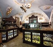 Kelionė į Bratislavą