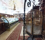 Kelionė į Bratislavą