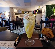 Kelionė į Bratislavą
