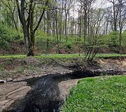 A.Mickevičiaus slėnyje Kaune tekantis Girstupis nusidažė juodai