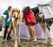 Palanga užfiksuota fotografo Aldo Kazlausko