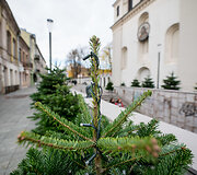 Kaunas jau ruo&scaron;iasi Kalėdoms