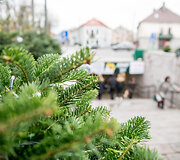 Kaunas jau ruo&scaron;iasi Kalėdoms