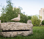 Stasio Žirgulio skulptūrų kolekcija Kauno Kalniečių parke