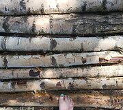 Basų kojų takas &scaron;alia Kadagių slėnio