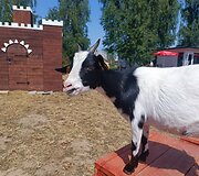 Basų kojų takas &scaron;alia Kadagių slėnio