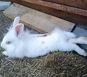 Basų kojų takas &scaron;alia Kadagių slėnio